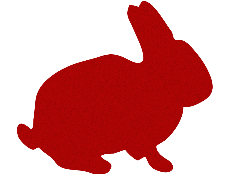 bunny bunny
