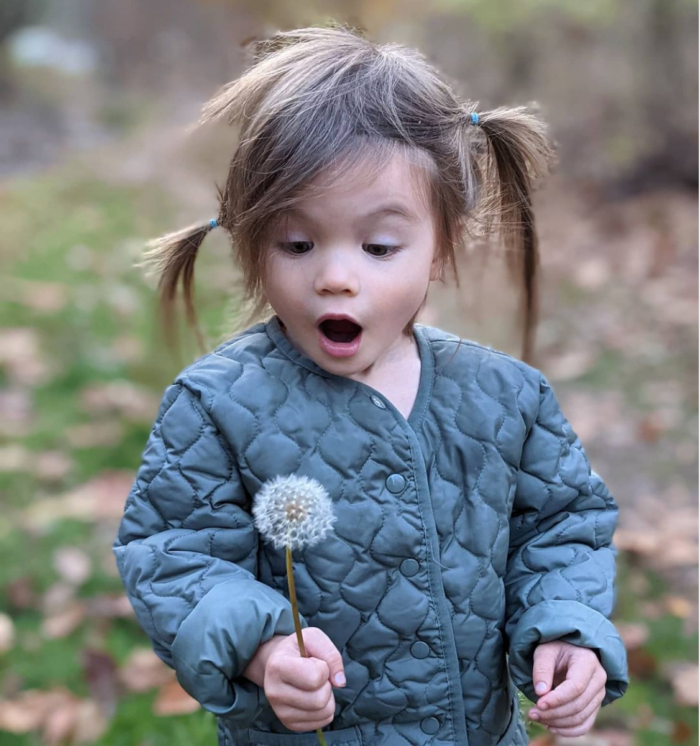Ella about to blow the seeds off a dandelion