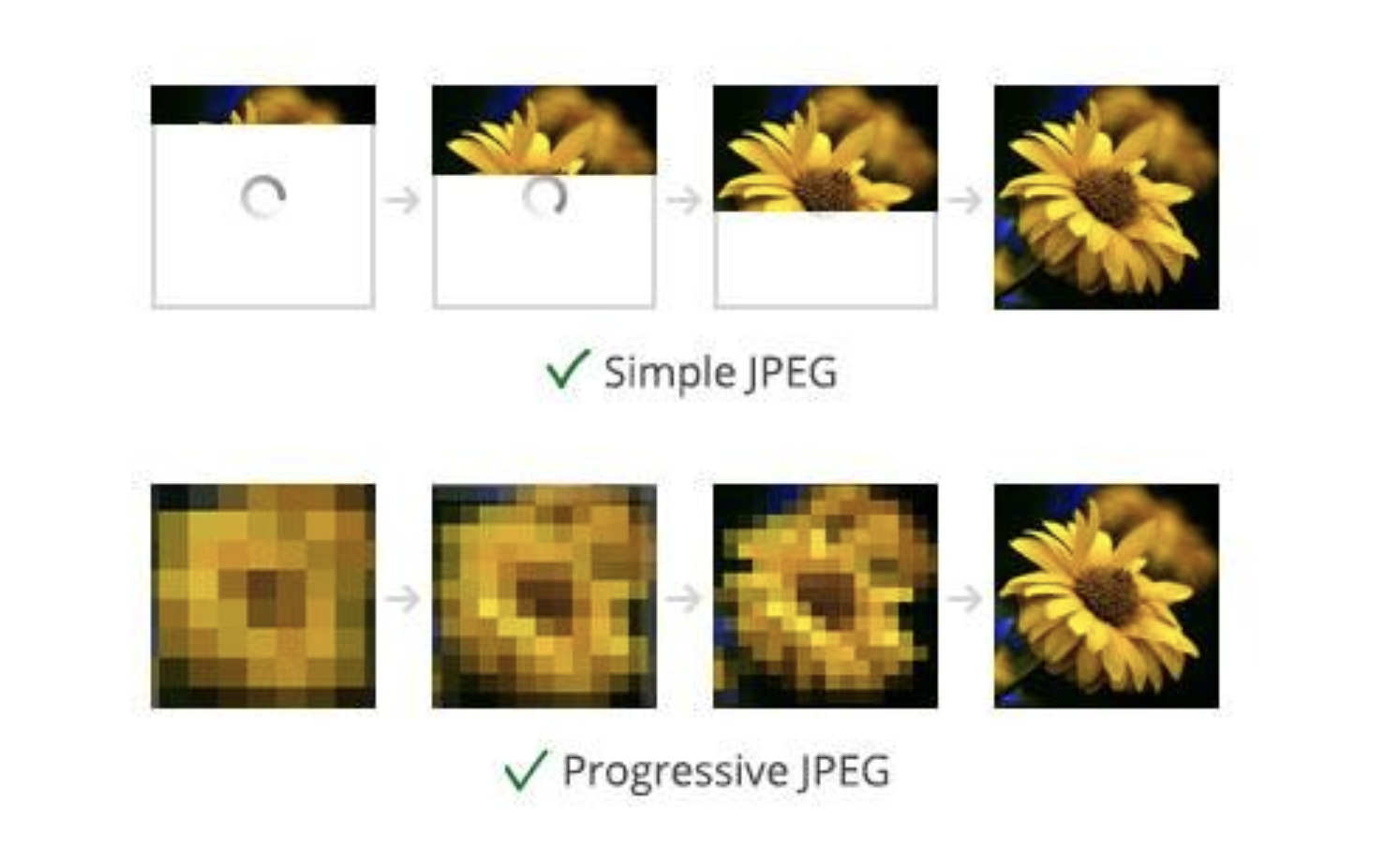 An image describing the linear build of a Simple JPEG (top-to-bottom) vs a Progressive JPEG (fuzzy and building fidelity)