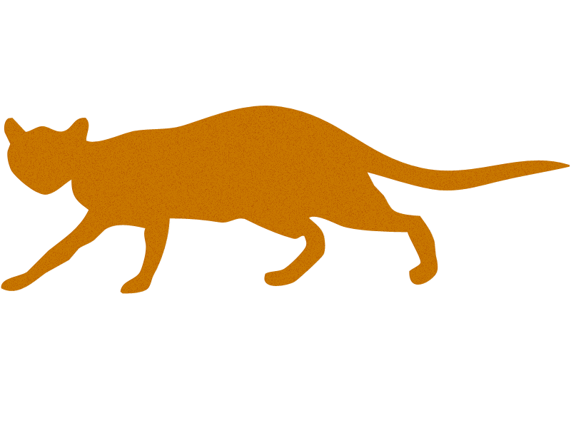 cat cat