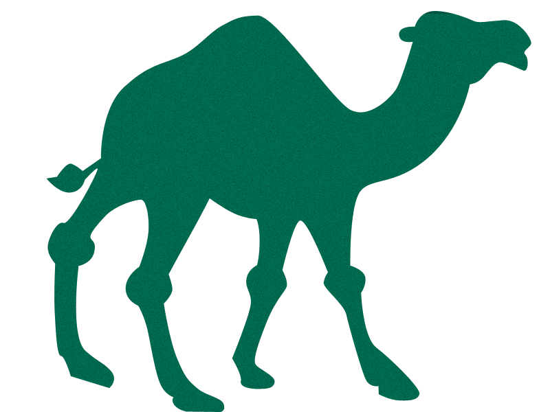camel camel