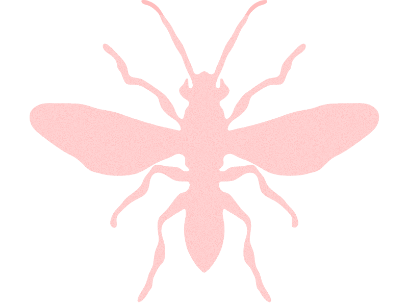 bug bug