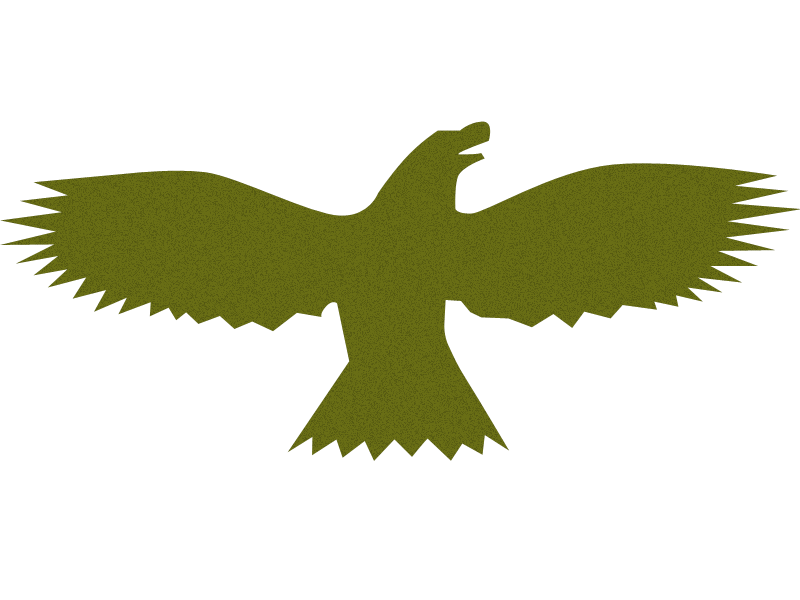 bird bird
