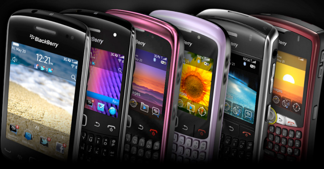 Blackberry Curves
