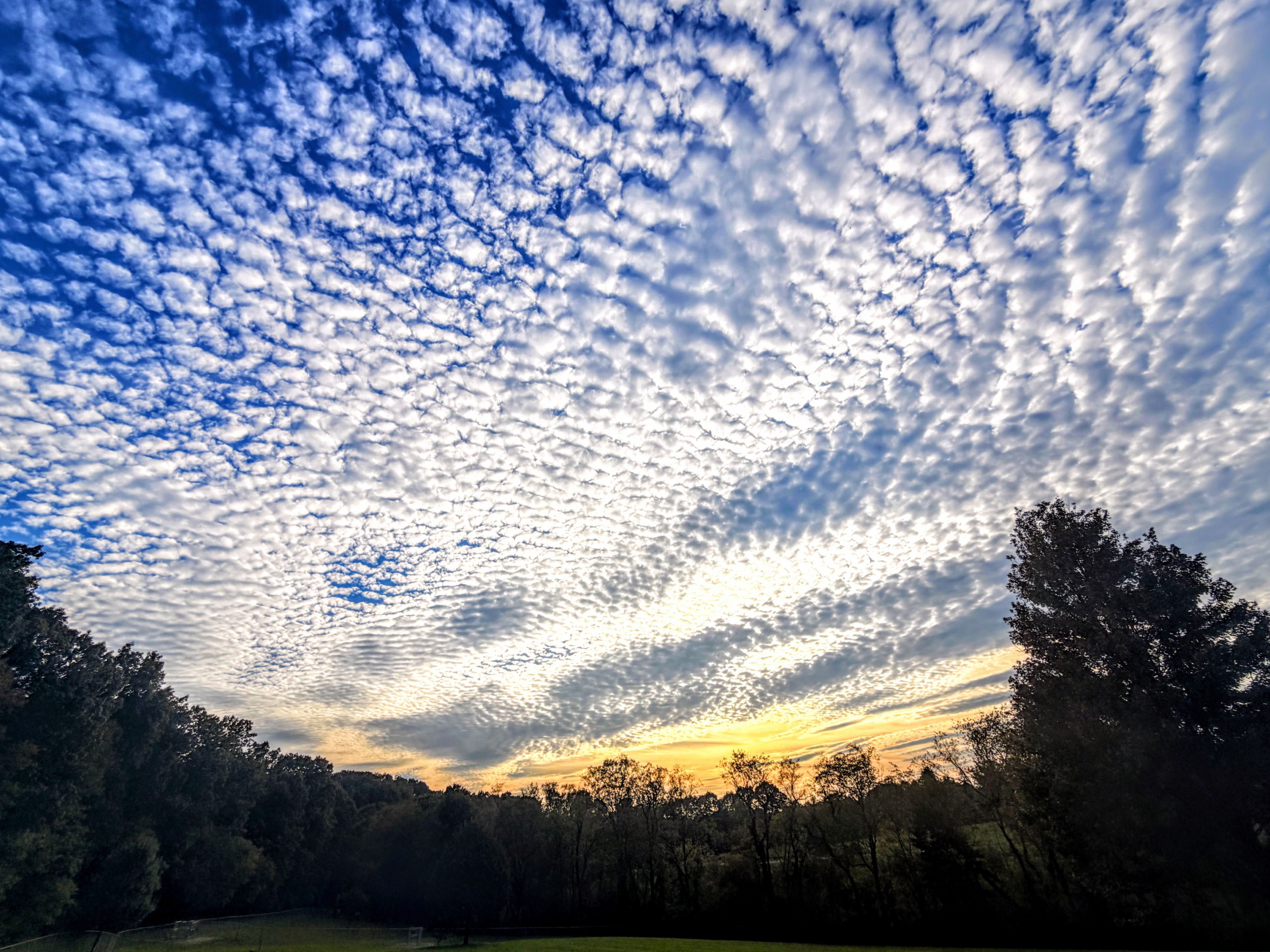 Sky filled with rippled white clouds above a forested horizon at sunset, with golden light breaking through near the treeline.
