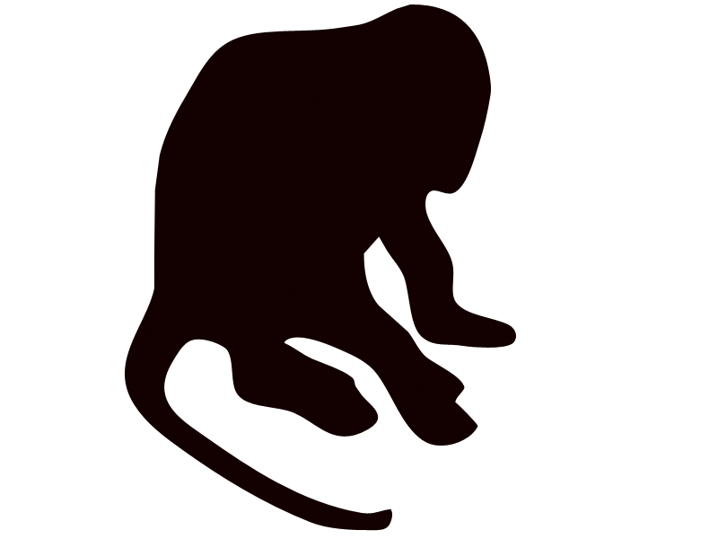 monkey monkey