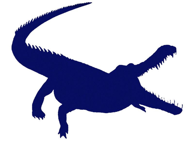 crocodile crocodile