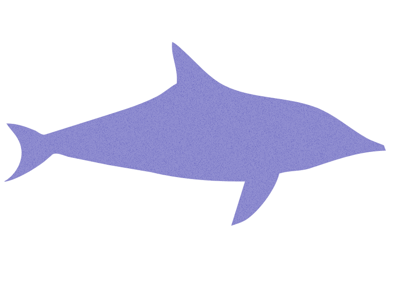 fish fish