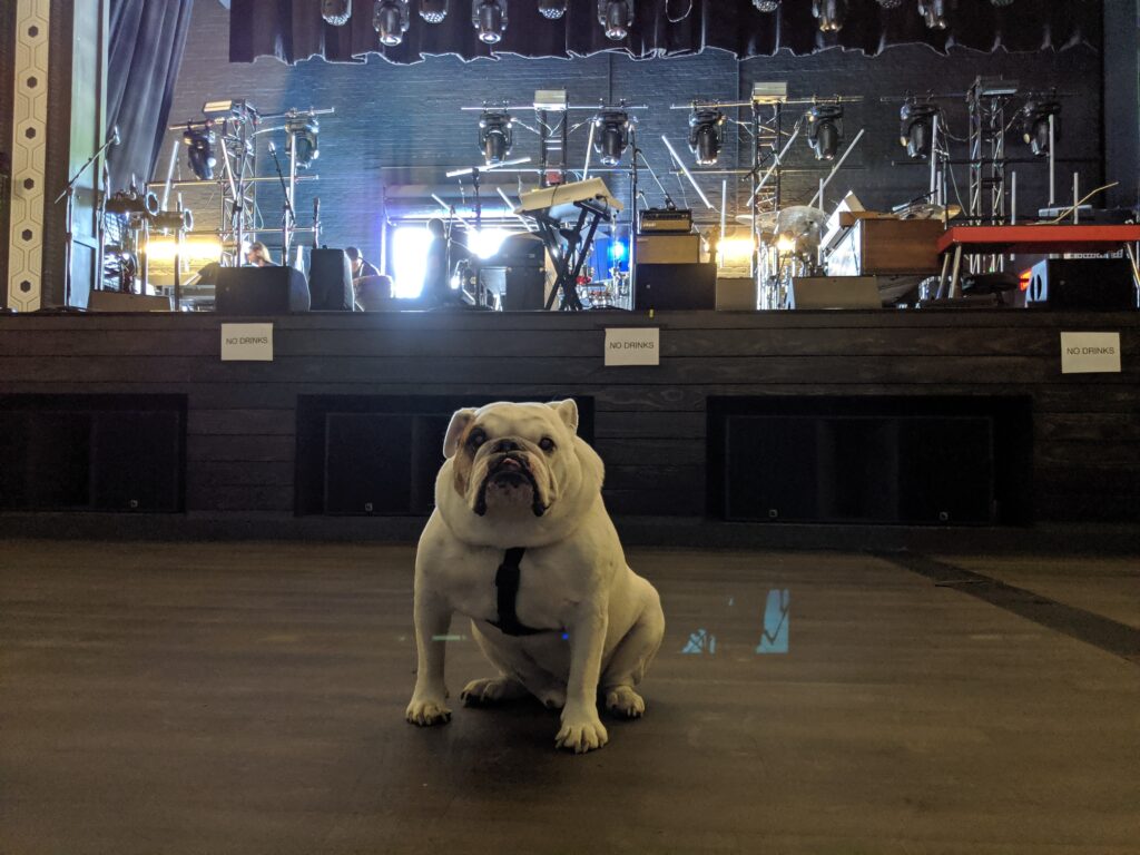 Ziggy standing at the Roxian theater in front of the music equipment of Snarky Puppy