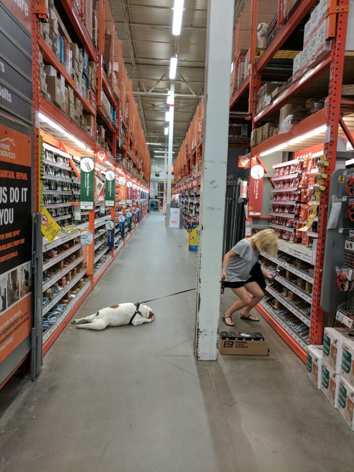 Ziggy laying on the floor at Home Depot while Melissa shops