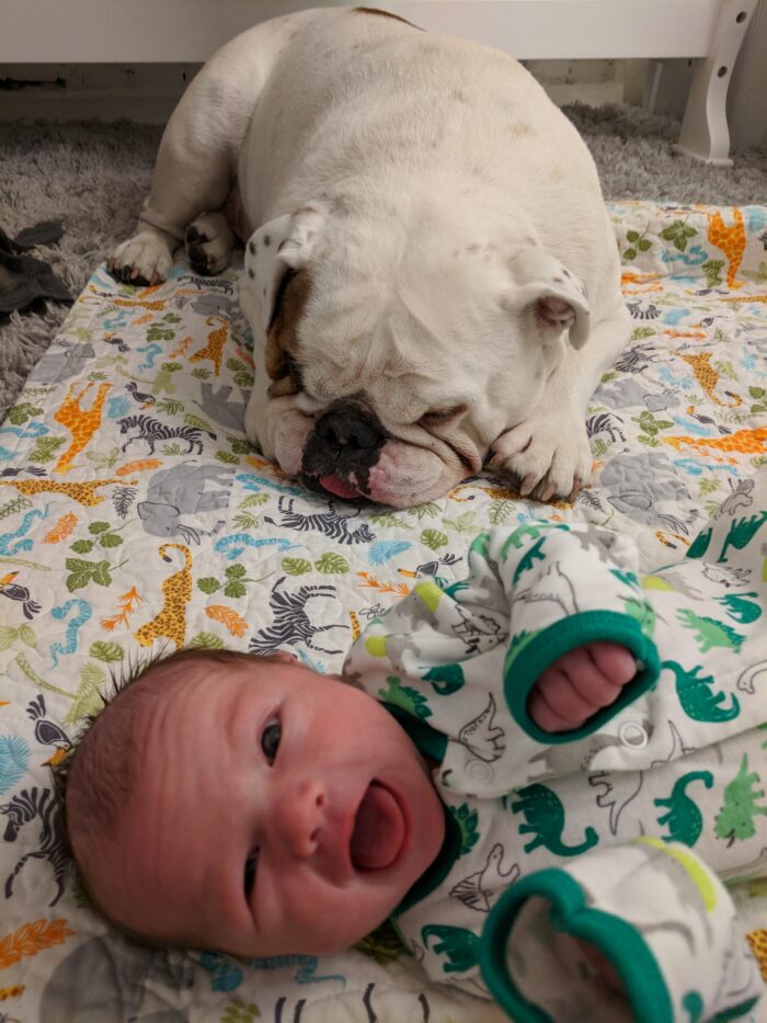 Ziggy and Ella on a baby blanket