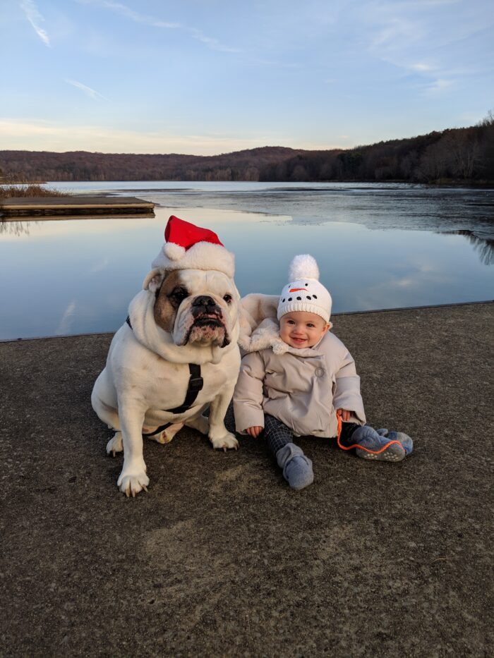 Ziggy wearing a santa hat sitting next to ella wearing a snowman hat in front of a lake