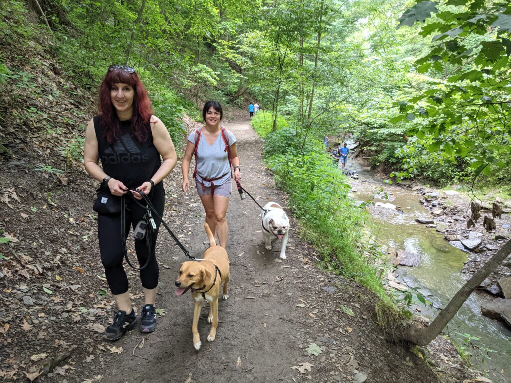 Ziggy Melissa Val Head and Ivy walking in the park