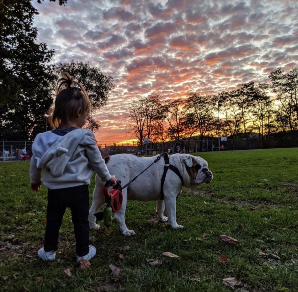 Ella as a toddler holding Ziggy's leash with a gorgeous sunset and clouds in the background.