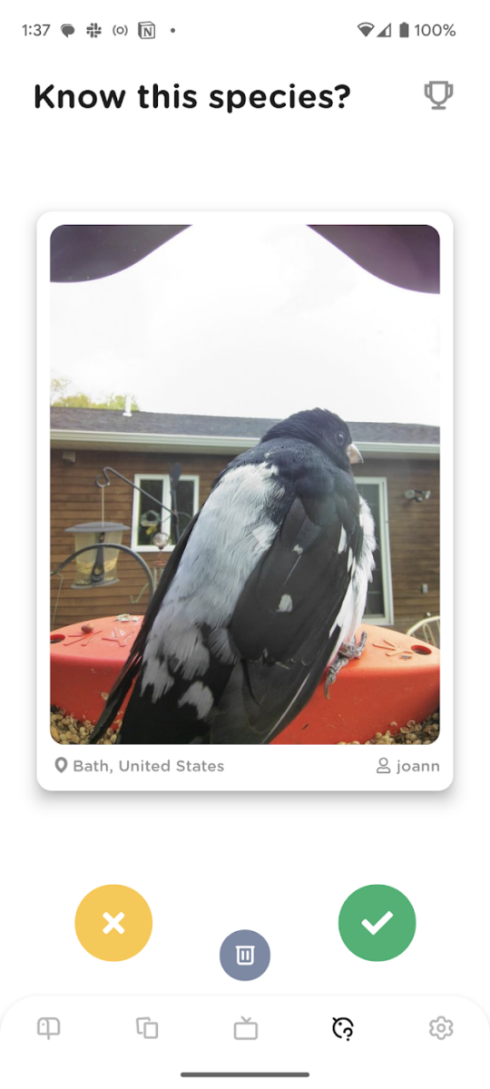 Screenshot of Bird Buddy's app that says "Know this species?" that shows a bird with someone's house in the background.